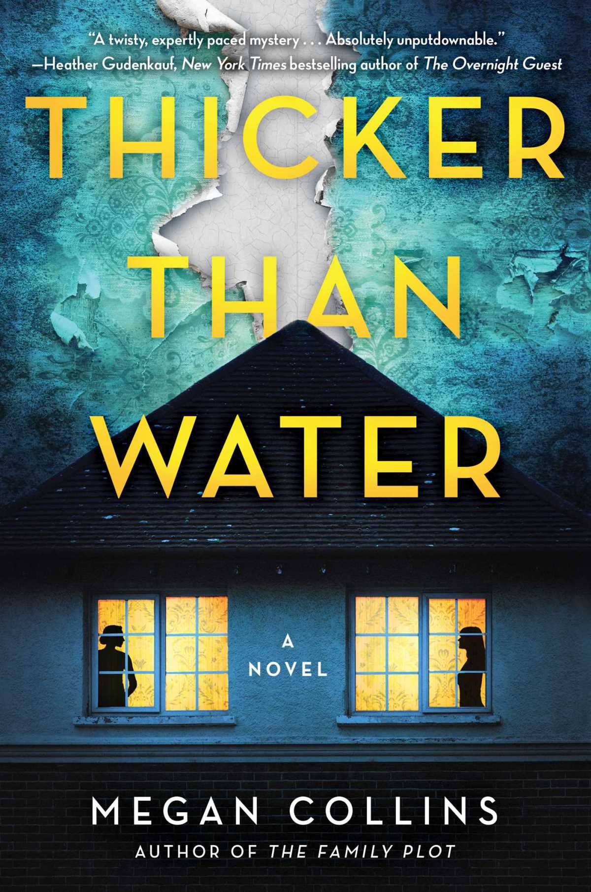 The one I wish I liked better: Thicker Than Water by Megan Collins