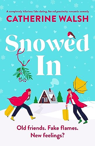 In January I read this Christmas novel: Snowed In by Catherine Walsh   #Christmas #Ireland #romance